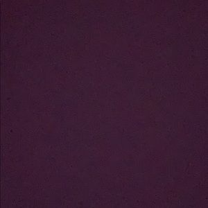 Meet your Posher, Everett